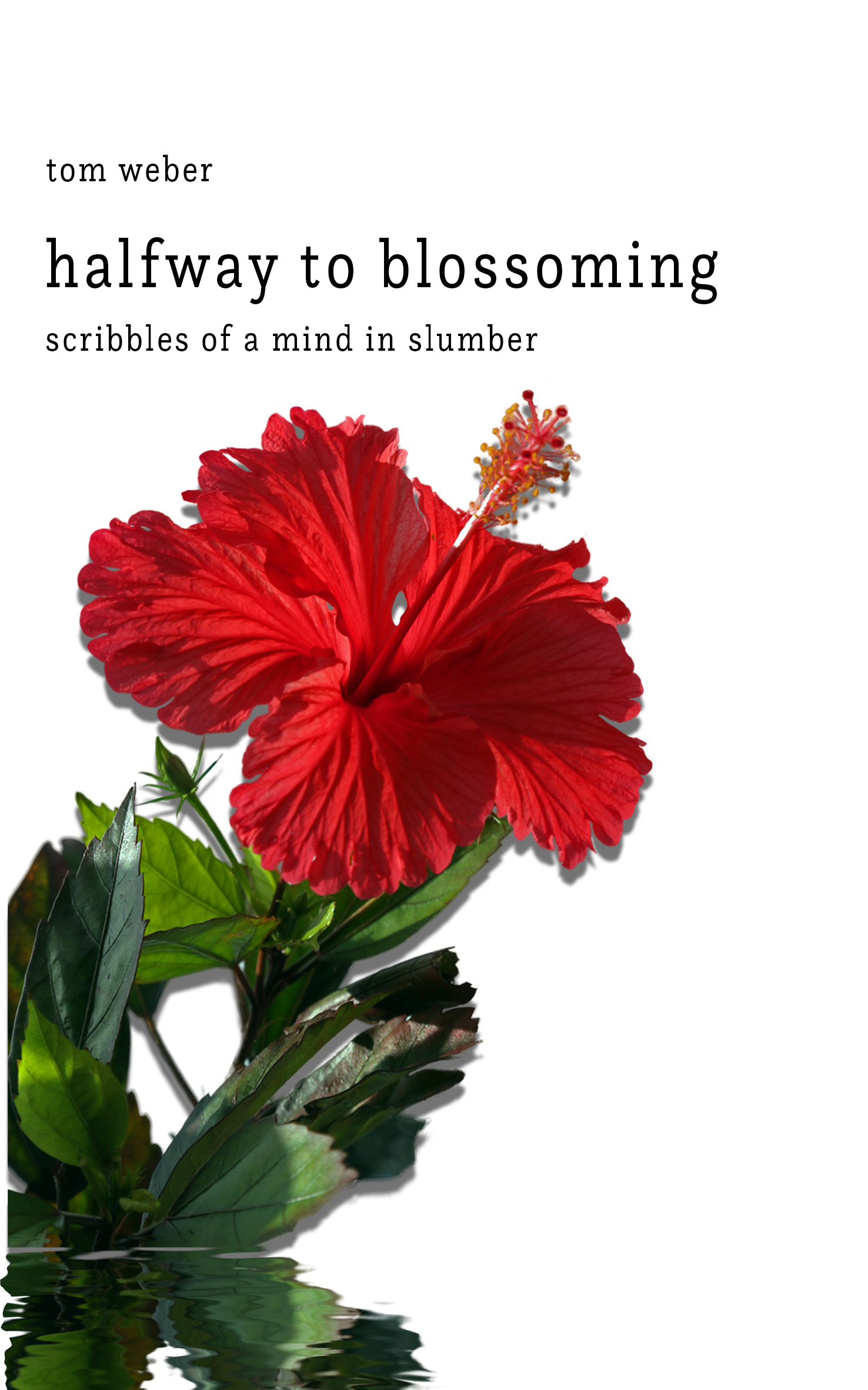 Cover of halfway to blossoming